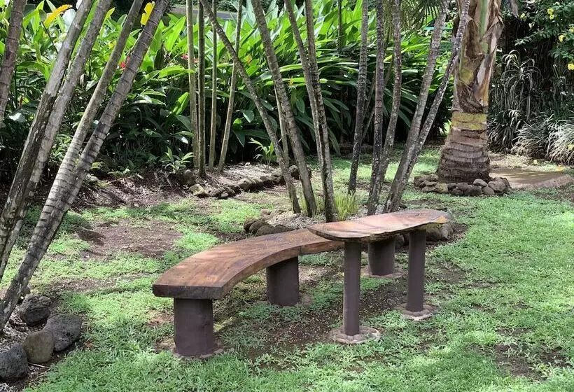 Hotelli Taveuni Dive Resort