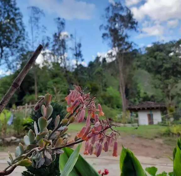 Retkeilymaja Hostal Rural La Montaña Alquiyapura