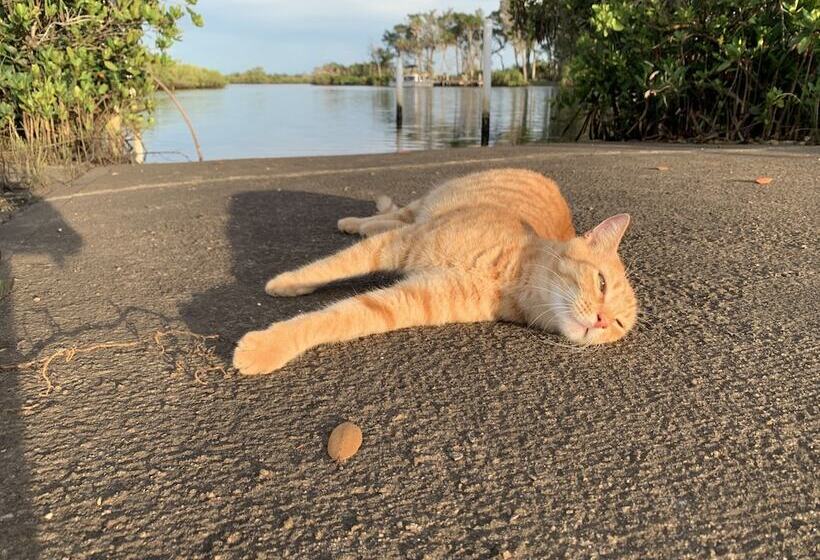 Crystal River Lullaby B&b