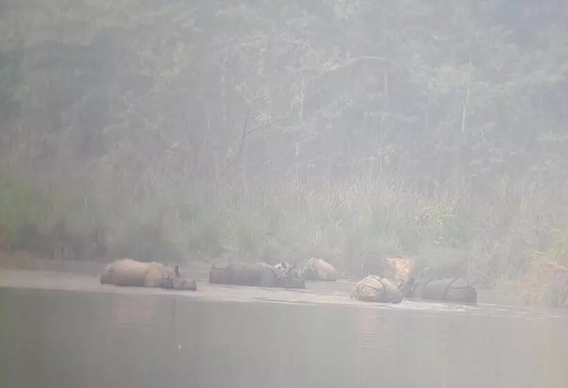 هتل Crocodile Safari Camp
