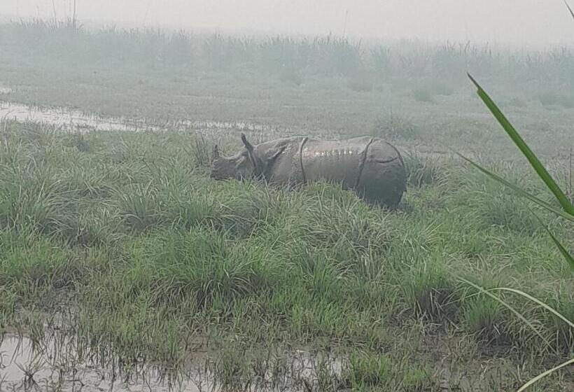 هتل Crocodile Safari Camp