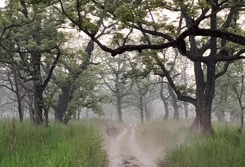 هتل Crocodile Safari Camp