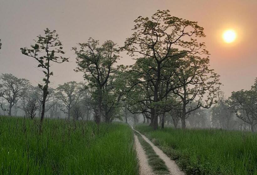 هتل Crocodile Safari Camp