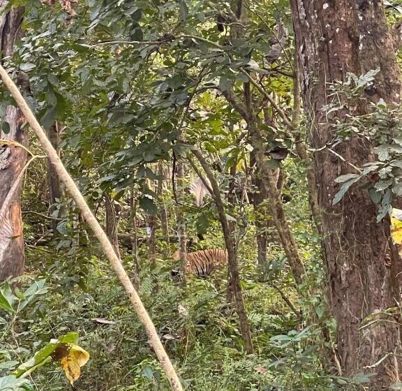 هتل Crocodile Safari Camp