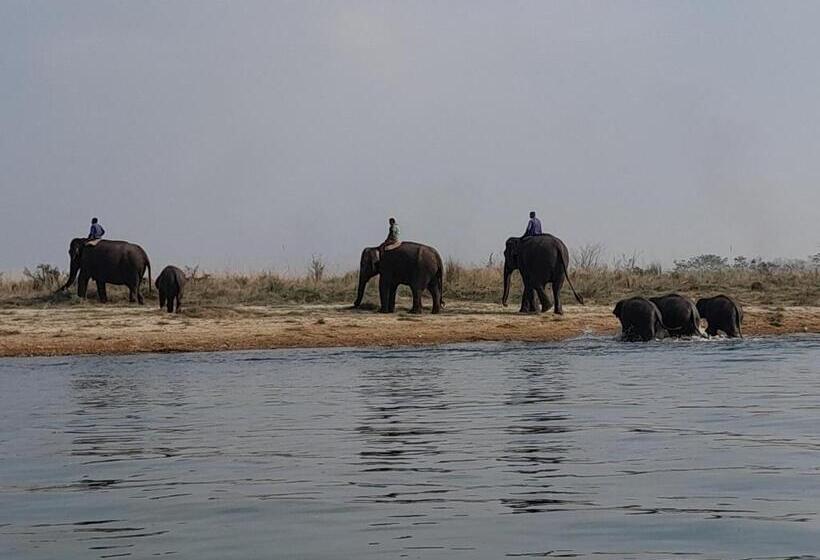 هتل Crocodile Safari Camp