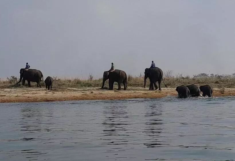هتل Crocodile Safari Camp