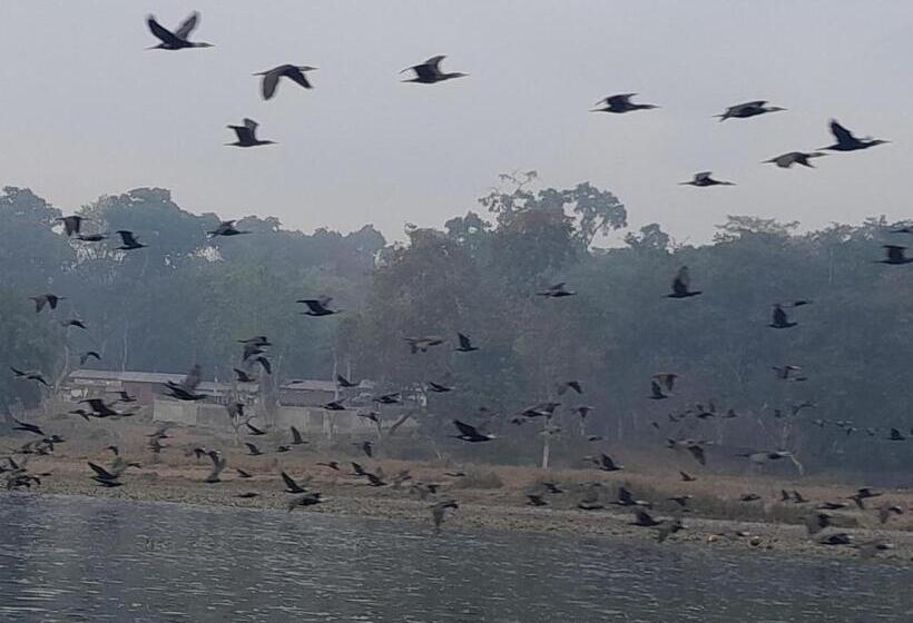 هتل Crocodile Safari Camp