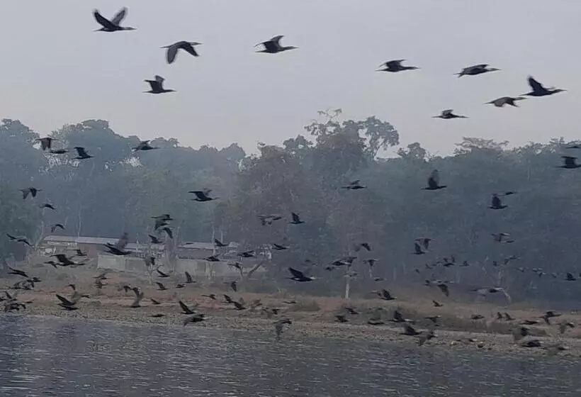 هتل Crocodile Safari Camp