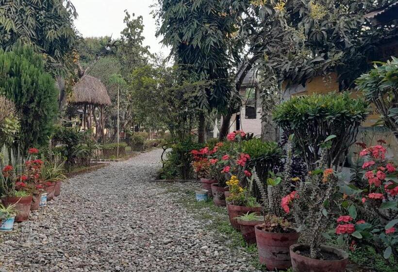 هتل Crocodile Safari Camp