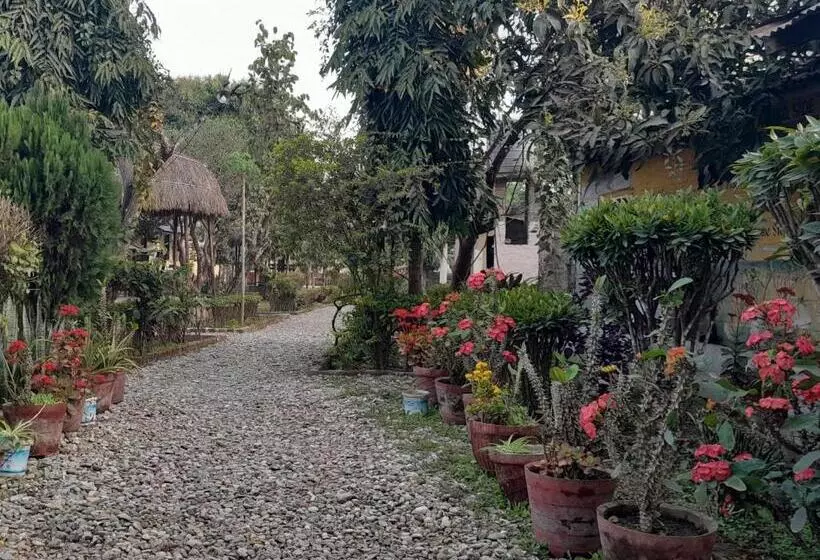 هتل Crocodile Safari Camp