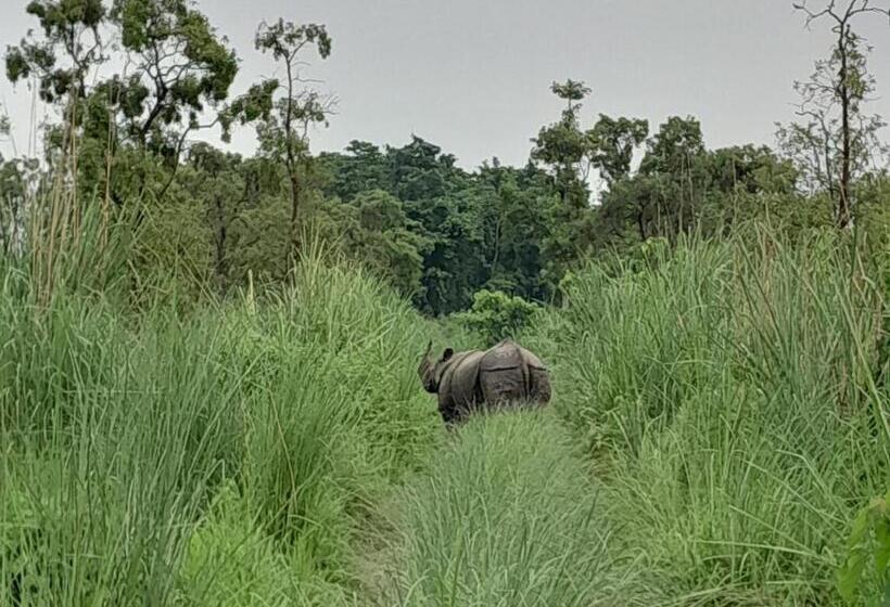 هتل Crocodile Safari Camp