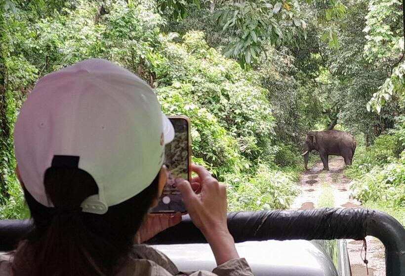 هتل Crocodile Safari Camp