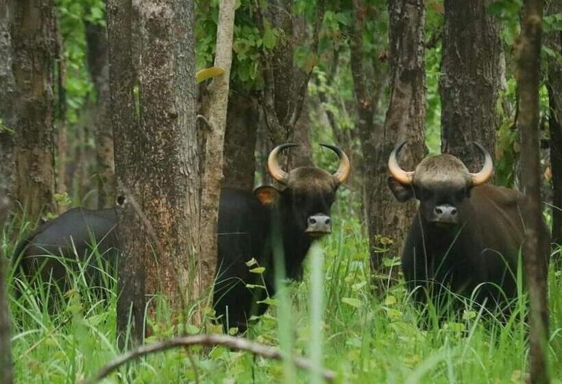 هتل Crocodile Safari Camp