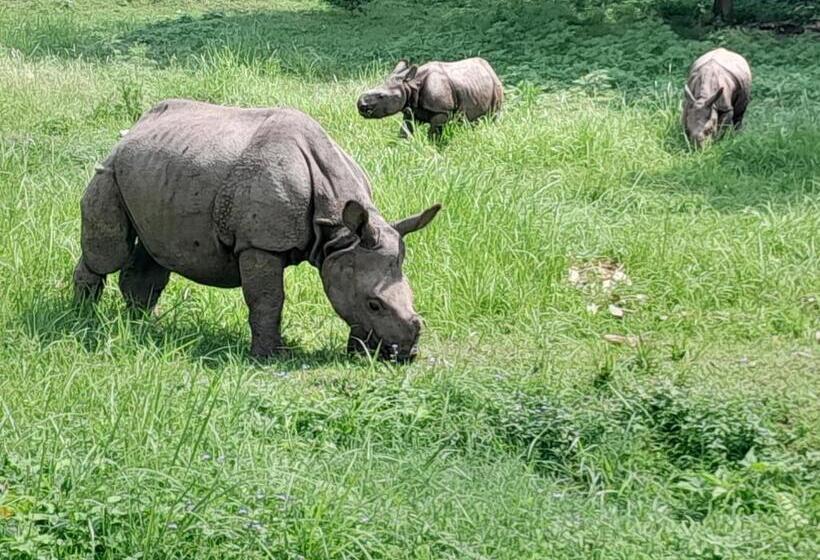 هتل Crocodile Safari Camp