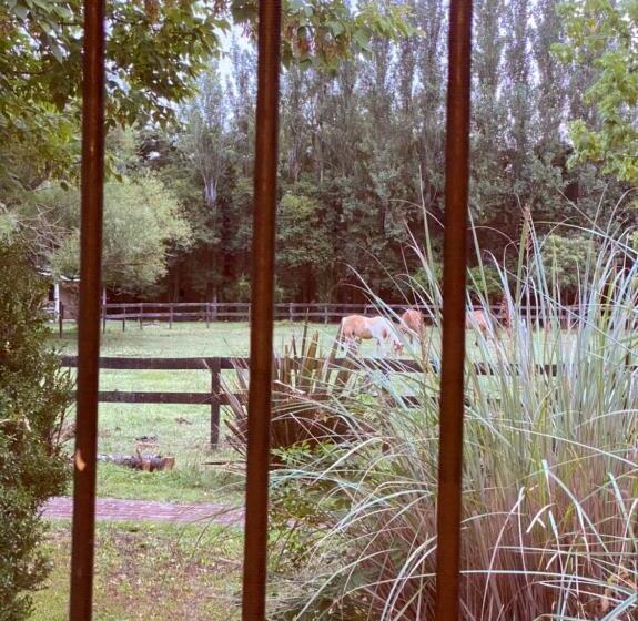 ベッドアンドブレックファースト Don Aniceto Suites De Campo