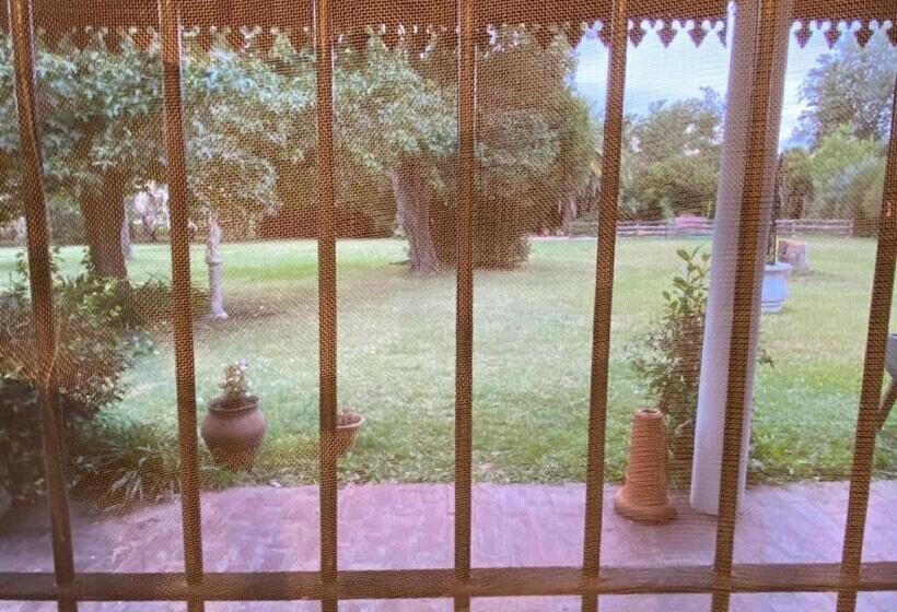 ベッドアンドブレックファースト Don Aniceto Suites De Campo