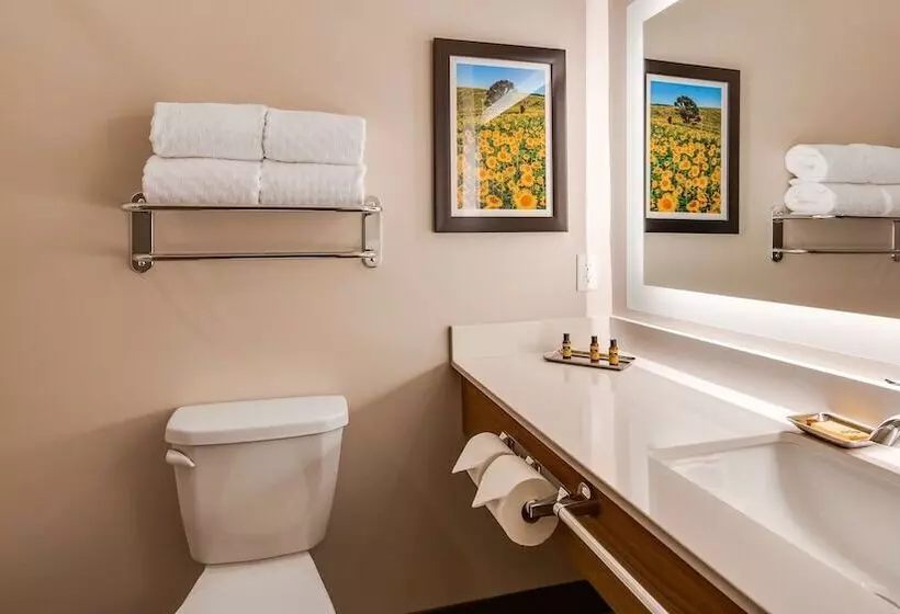 ホテル Best Western Plus Jefferson