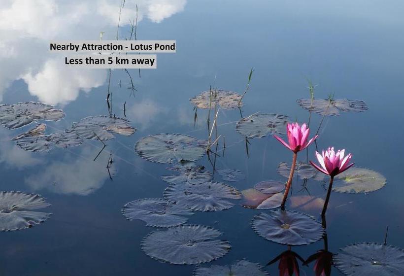 בית מלון כפרי Vaccinated Staff Capital O 78550 Star Inn By Hillside