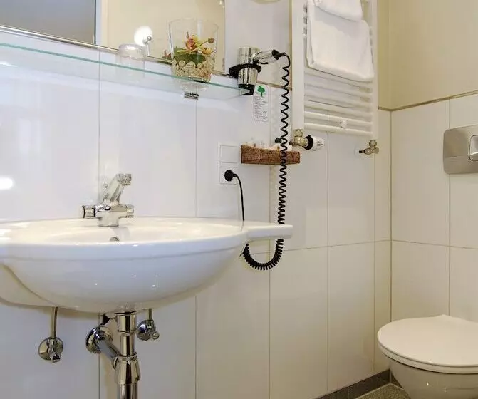 Motelli Apartments Trier