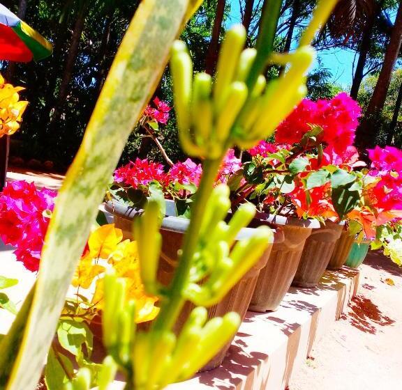 پانسیون Ella Walkers Nest