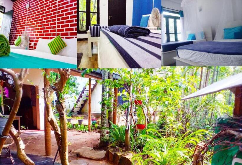 پانسیون Ella Walkers Nest