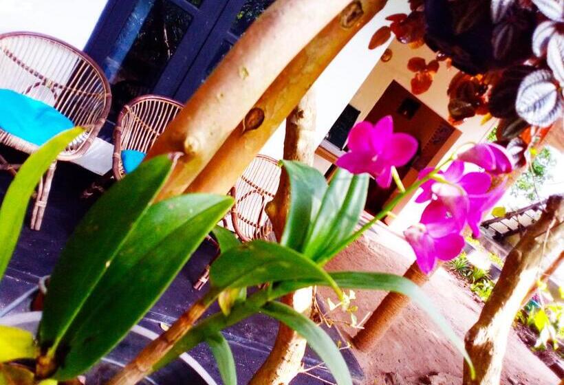 پانسیون Ella Walkers Nest