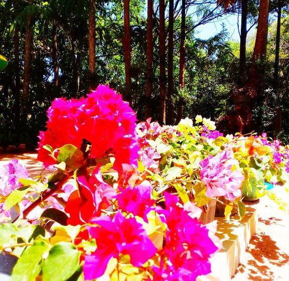 پانسیون Ella Walkers Nest