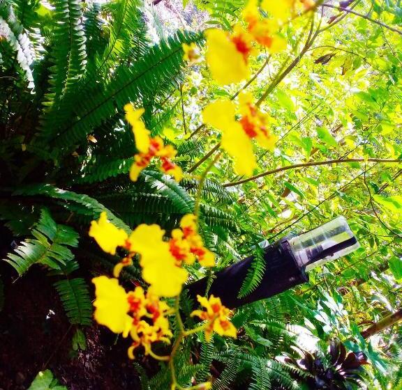 پانسیون Ella Walkers Nest