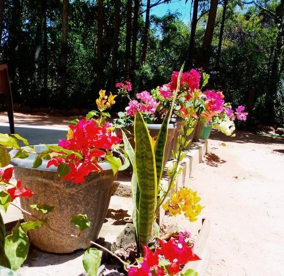 پانسیون Ella Walkers Nest