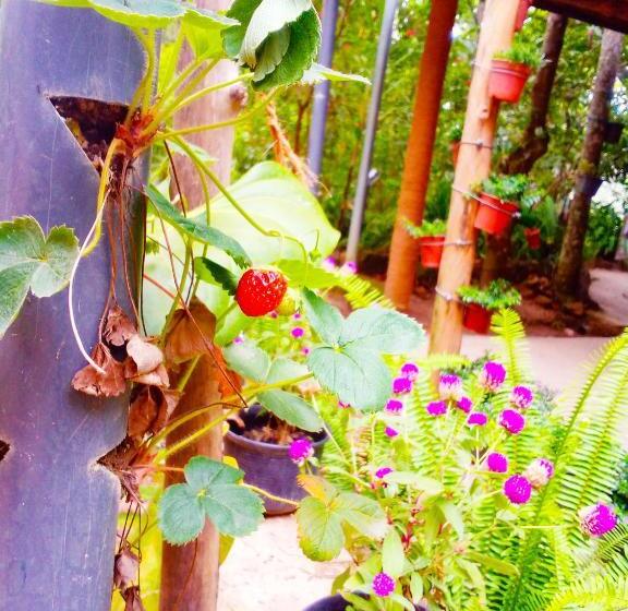 پانسیون Ella Walkers Nest