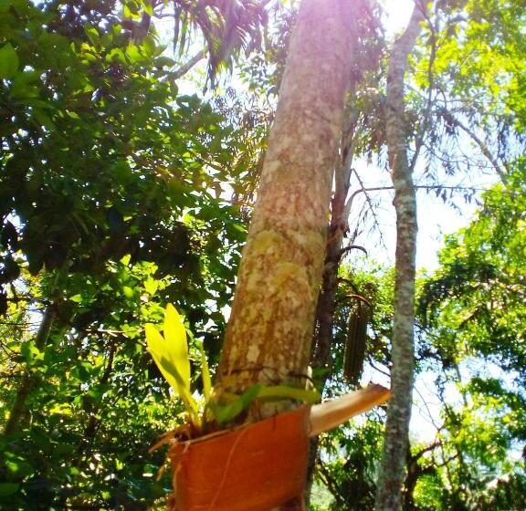 پانسیون Ella Walkers Nest