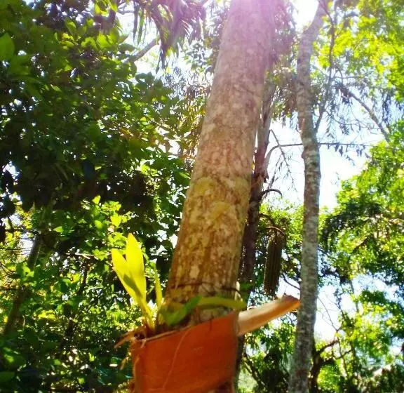 Majatalo Ella Walkers Nest