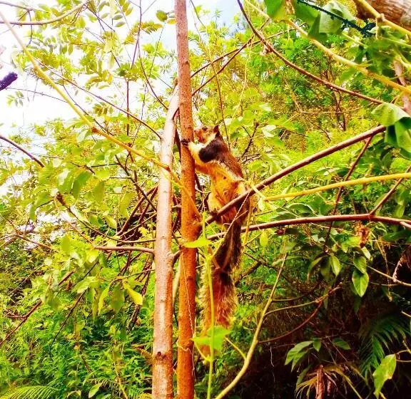 Majatalo Ella Walkers Nest