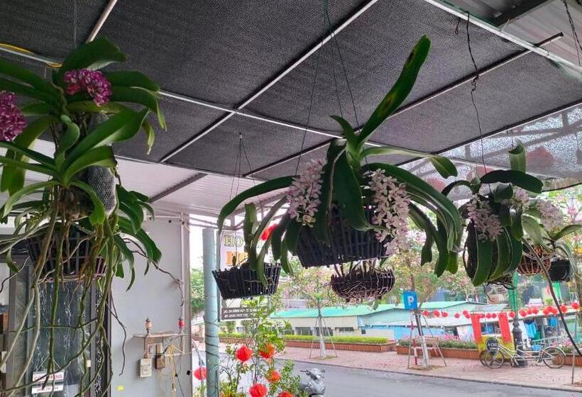 هتل Hoa Mai Plus Hostel