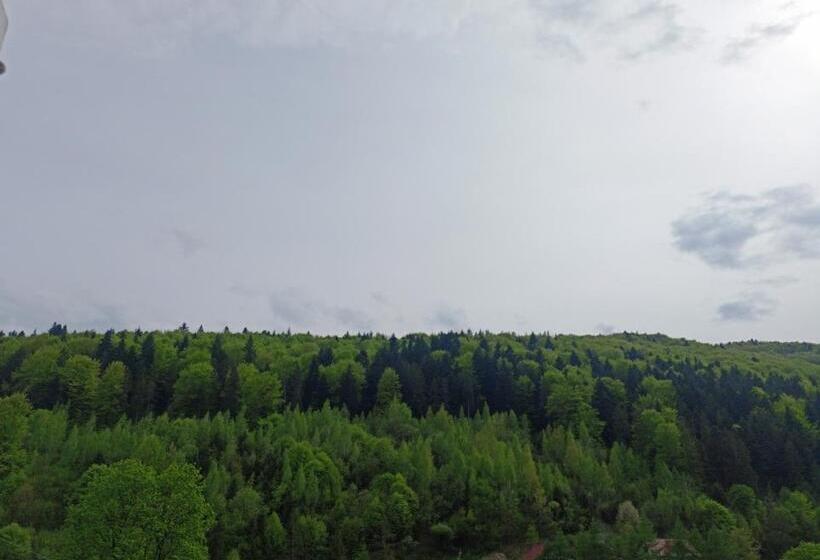 膳宿费 гостьовий двір