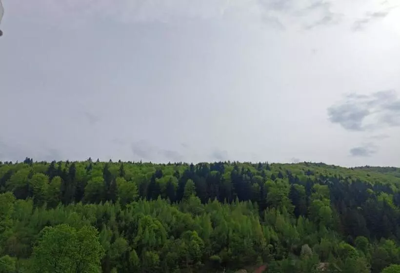 Majatalo гостьовий двір