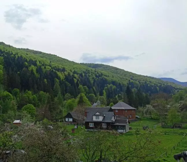 Majatalo гостьовий двір