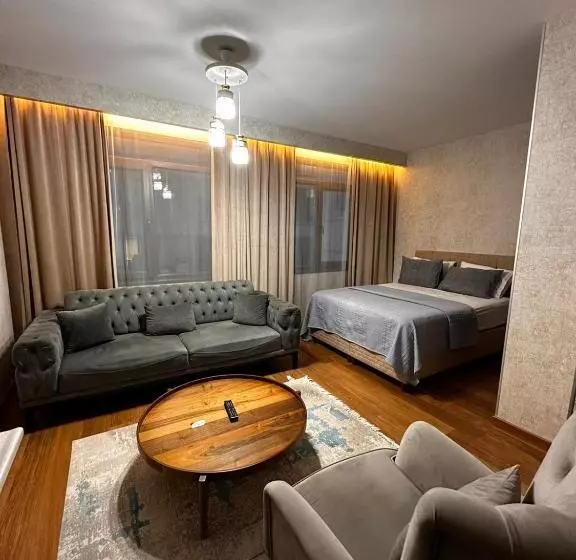 هتل Sabi̇ha Gokcen İstanbul Houses