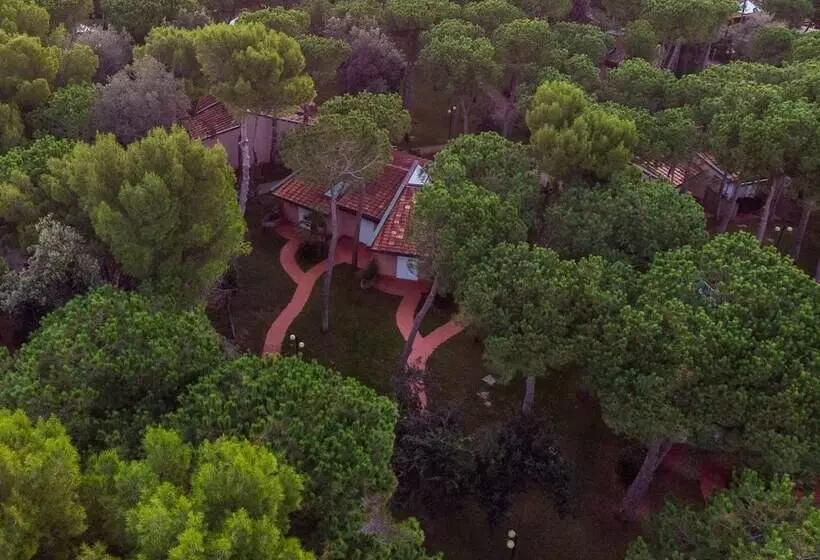 هتل Riva Degli Etruschi