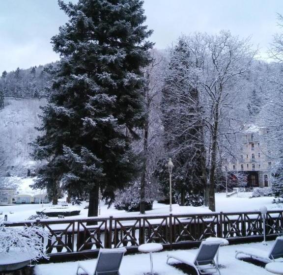 فندق Hôtel Du Parc