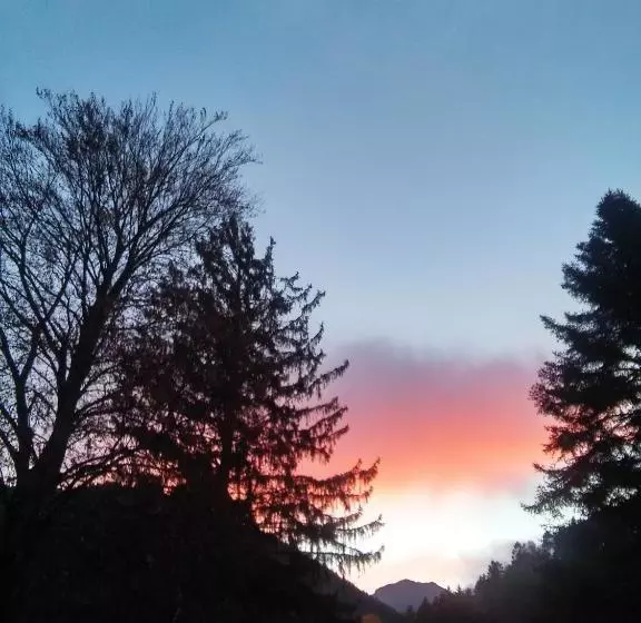 Отель Hôtel Du Parc