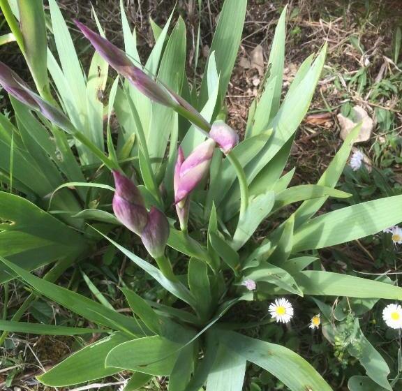 ホテル Residenzia Del Sogno