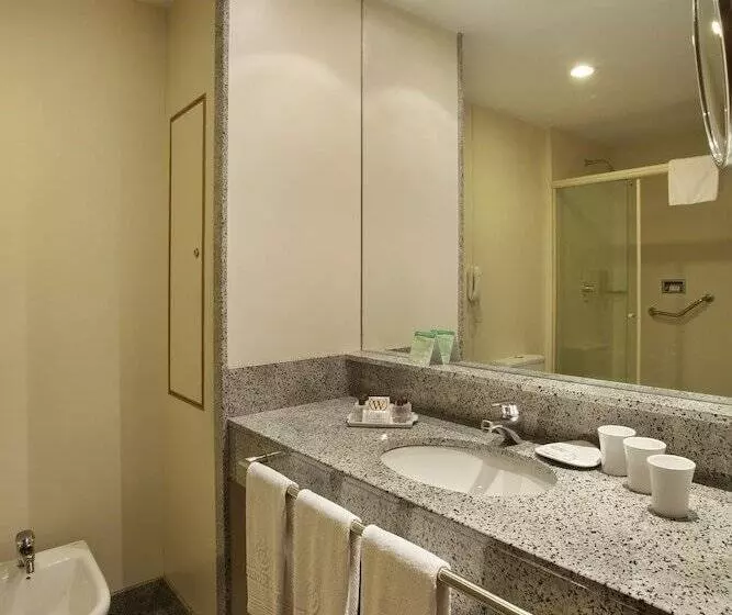 هتل Windsor Asturias