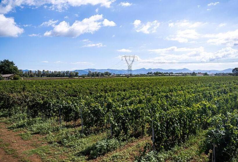 호텔 Agriturismo L Ovile