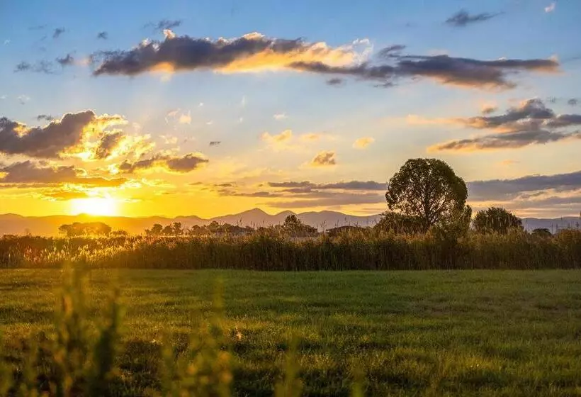 ホテル Agriturismo L Ovile