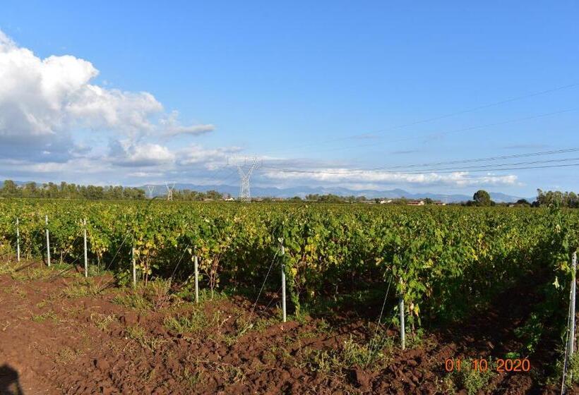 호텔 Agriturismo L Ovile