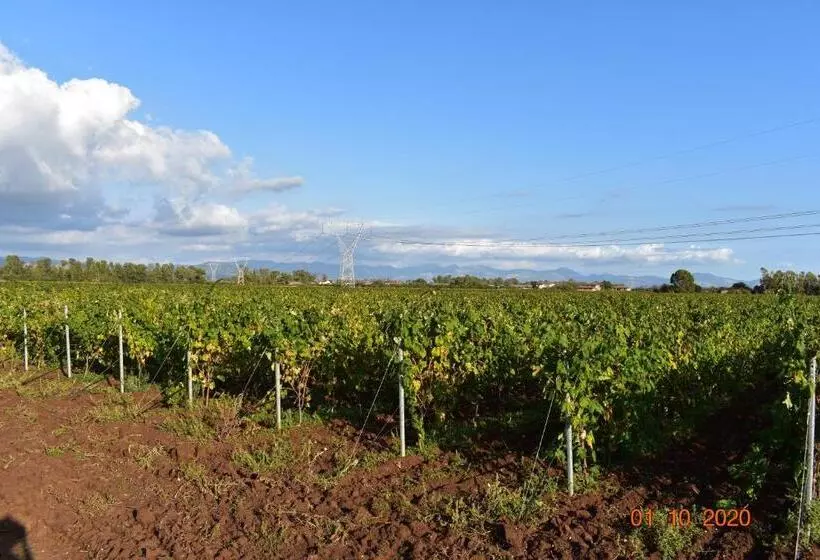ホテル Agriturismo L Ovile