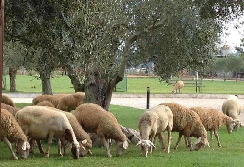 호텔 Agriturismo L Ovile