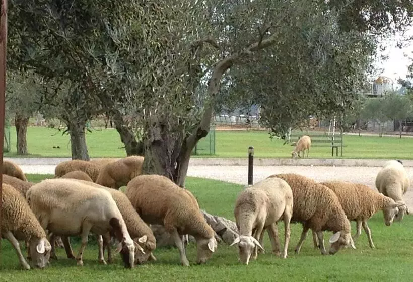 ホテル Agriturismo L Ovile
