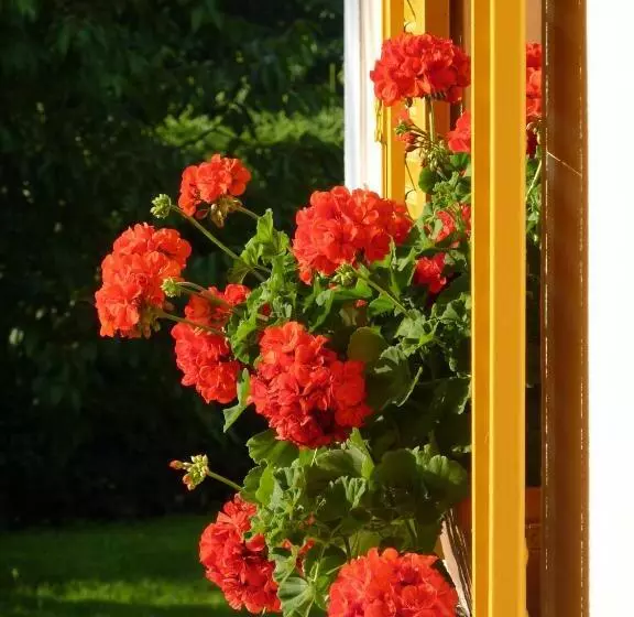 هتل Farm Stay Rotovnik   Plesnik